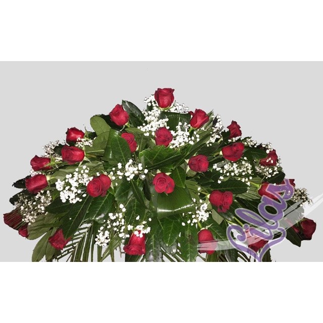 ALMOHADON ROSAS ROJAS