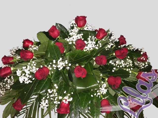 ALMOHADON ROSAS ROJAS