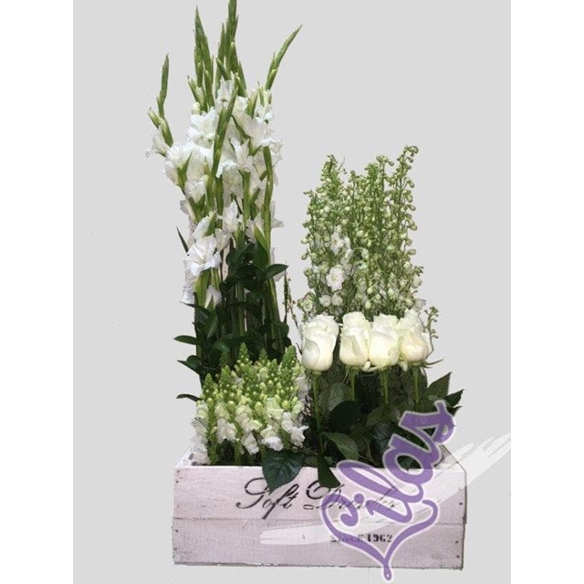 CAJA 1 BLANCA