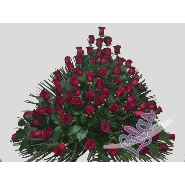 CENTRO N.6 - ROSAS