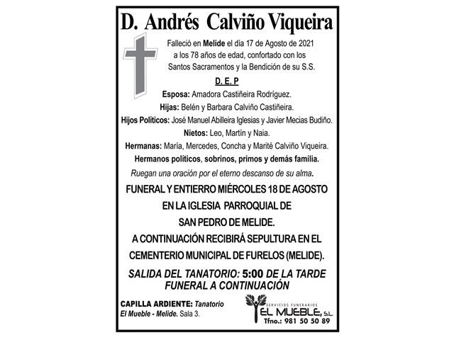 D. ANDRÉS CALVIÑO VIQUEIRA.