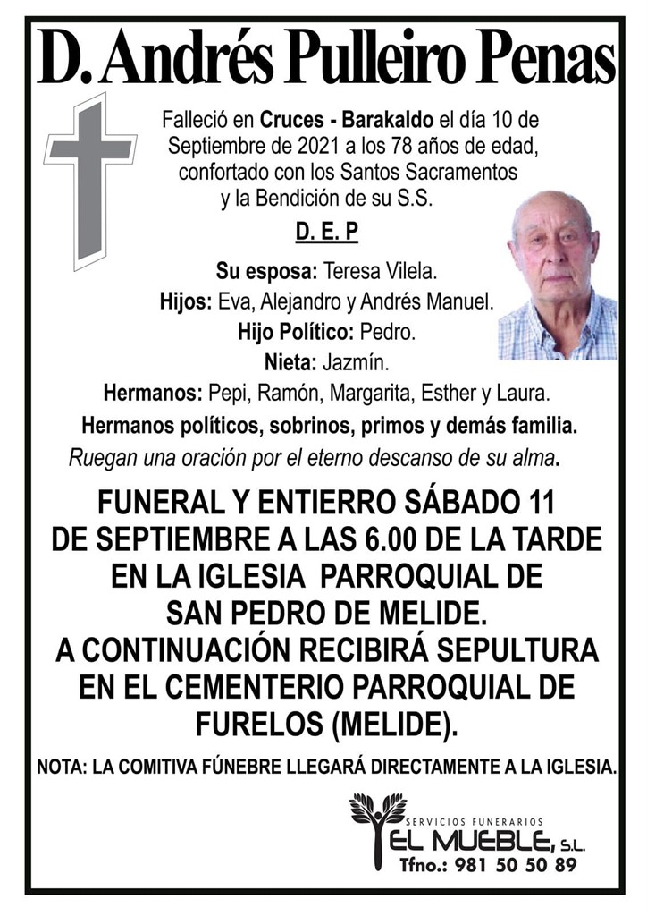 D. ANDRÉS PULLEIRO PENAS