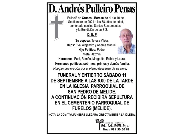 D. ANDRÉS PULLEIRO PENAS