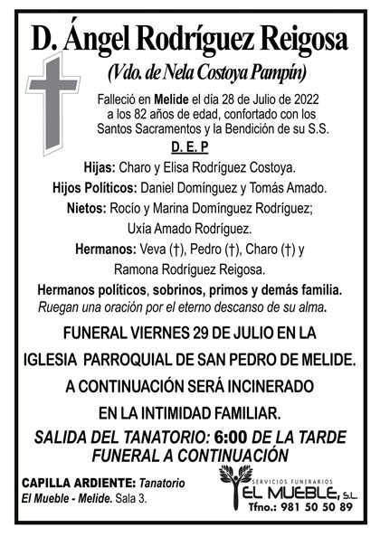 D. ÁNGEL RODRÍGUEZ REIGOSA