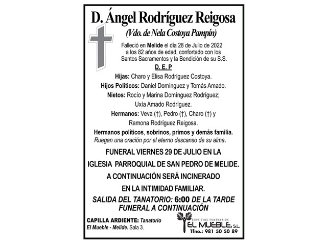 D. ÁNGEL RODRÍGUEZ REIGOSA