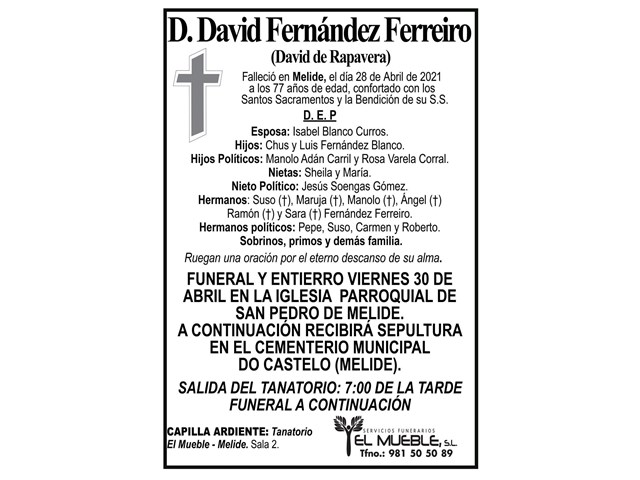 D. DAVID FERNÁNDEZ FERREIRO