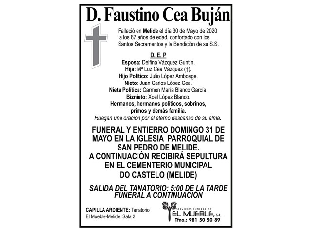 D. FAUSTINO CEA BUJÁN