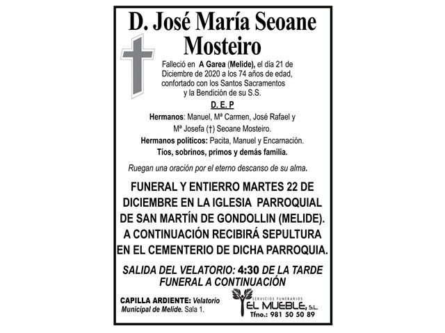 D. JOSÉ MARÍA SEOANE MOSTEIRO.