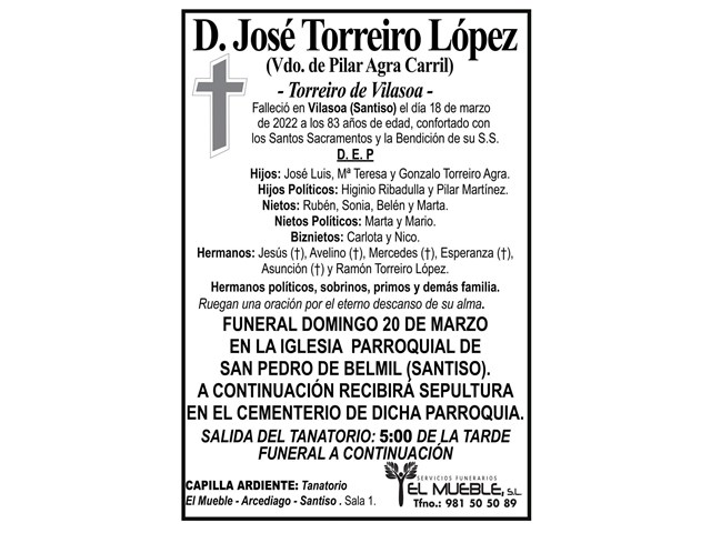 D. JOSÉ TORREIRO LÓPEZ.