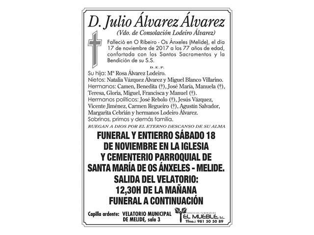 D. JULIO ALVAREZ ALVAREZ