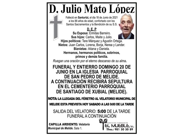D. JULIO MATO LÓPEZ.