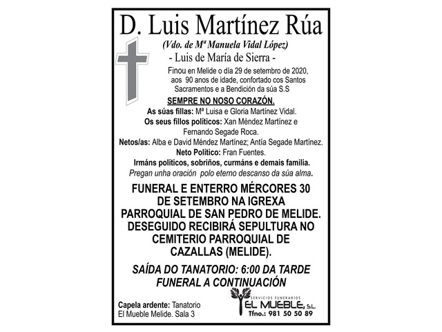 D. LUIS MARTÍNEZ RÚA.
