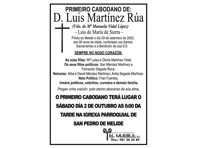 D. LUIS MARTÍNEZ RÚA 