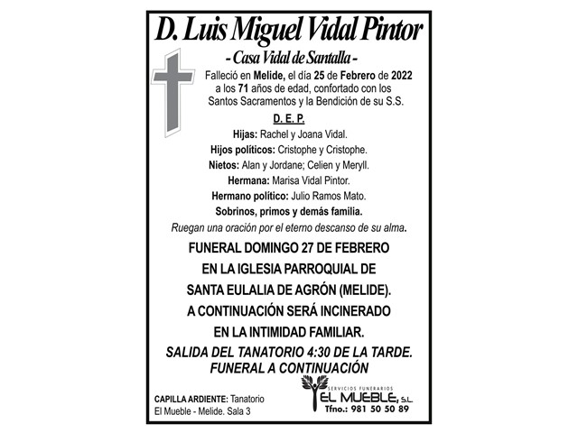 D. LUIS MIGUEL VIDAL PINTOR.