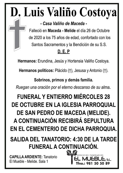 D. LUIS VALIÑO COSTOYA.