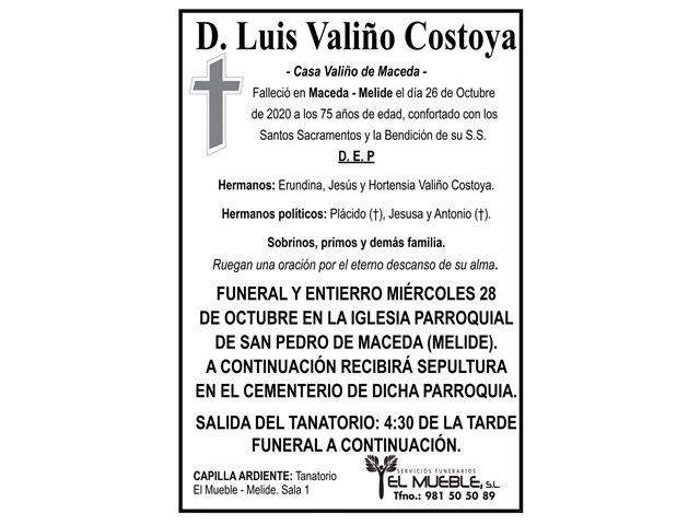D. LUIS VALIÑO COSTOYA.