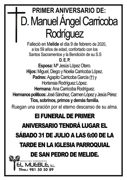 D. MANUEL ÁNGEL CARRICOBA RODRÍGUEZ.