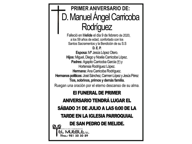 D. MANUEL ÁNGEL CARRICOBA RODRÍGUEZ.