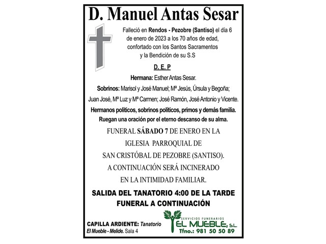 D. MANUEL ANTAS SESAR.