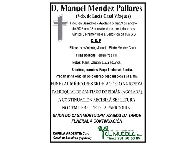 D. MANUEL MÉNDEZ PALLARES