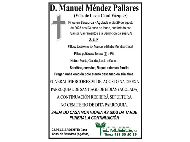 D. MANUEL MÉNDEZ PALLARES