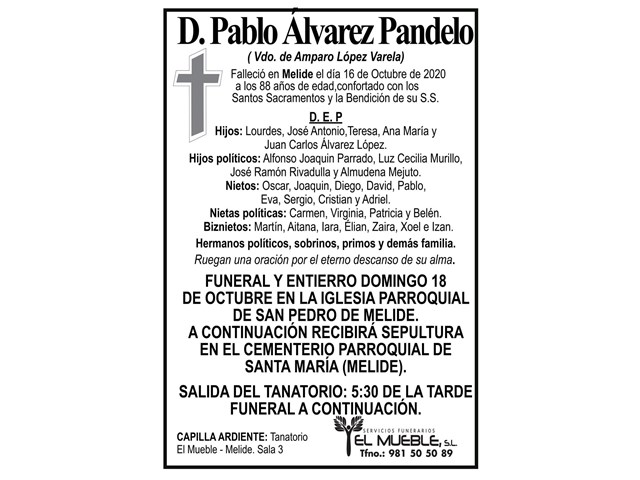 D. PABLO ÁLVAREZ PANDELO.