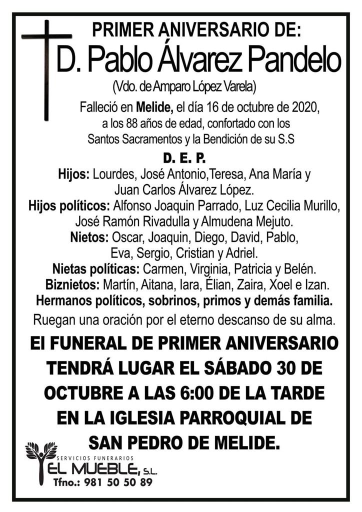 D. PABLO ÁLVAREZ PANDELO.