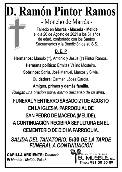 D. RAMÓN PINTOR RAMOS.
