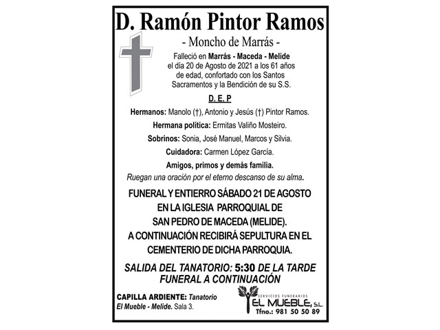 D. RAMÓN PINTOR RAMOS.