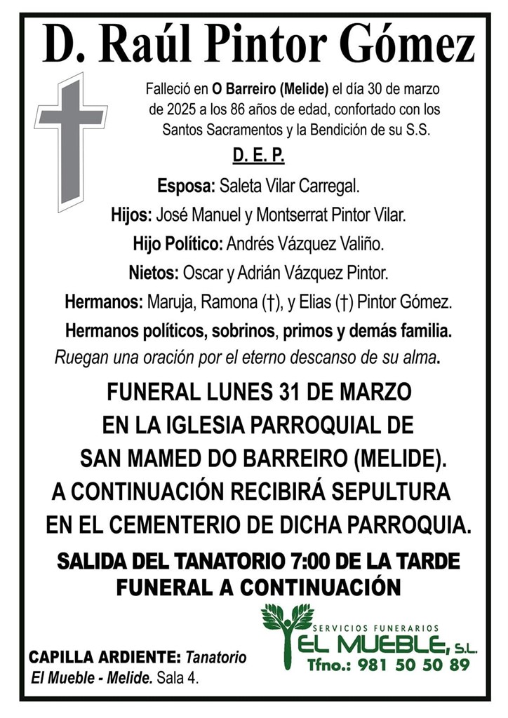 D. Raúl Pintor Gómez.