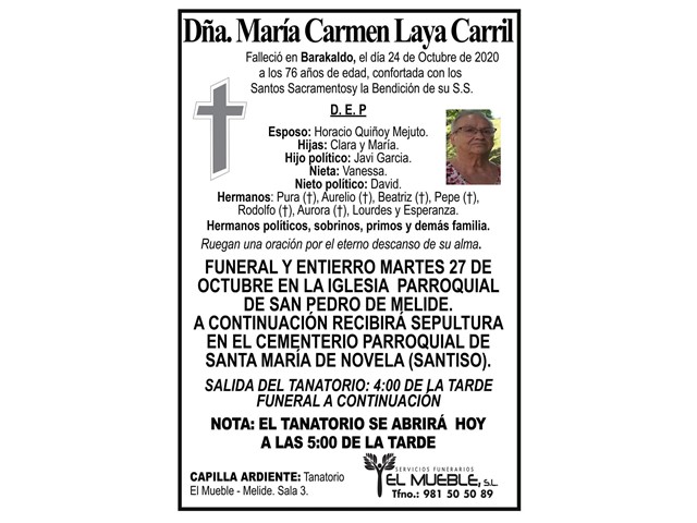 DÑA. MARÍA CARMEN LAYA CARRIL.