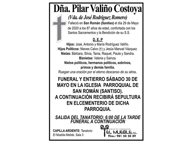 DÑA. PILAR VALIÑO COSTOYA.